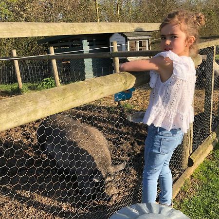 Willow Court Farm Studio East & Petting Farm, 8 Mins To Legoland & Windsor, 15 Mins To Lapland Uk Ngoại thất bức ảnh