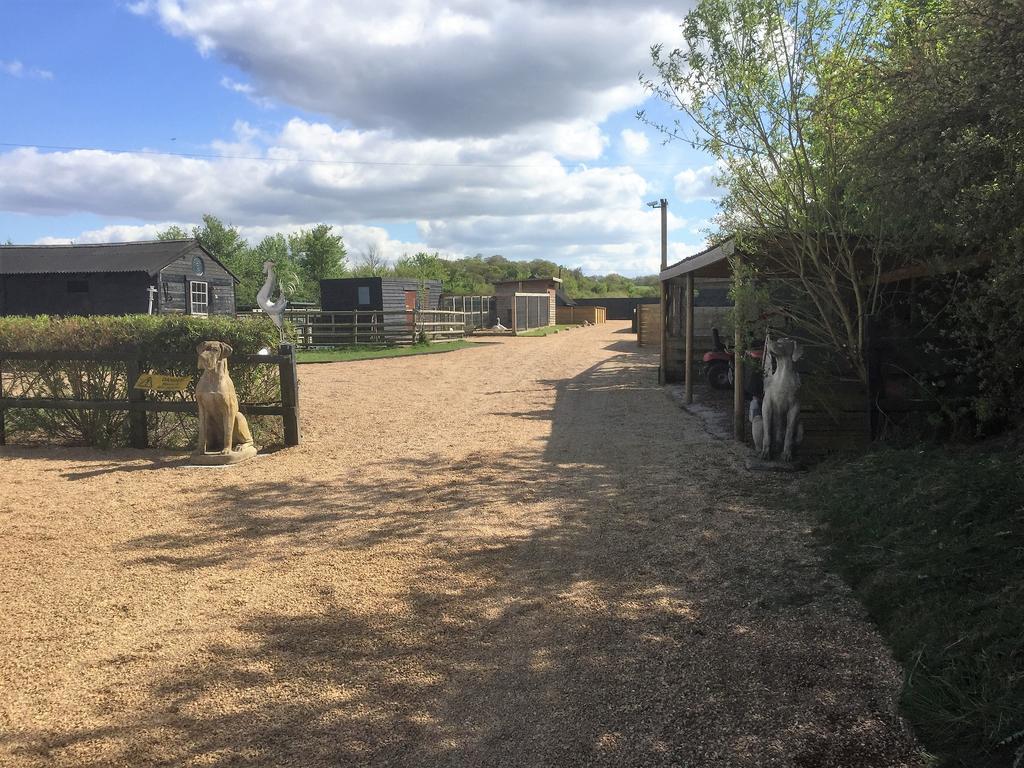 Willow Court Farm Studio East & Petting Farm, 8 Mins To Legoland & Windsor, 15 Mins To Lapland Uk Ngoại thất bức ảnh