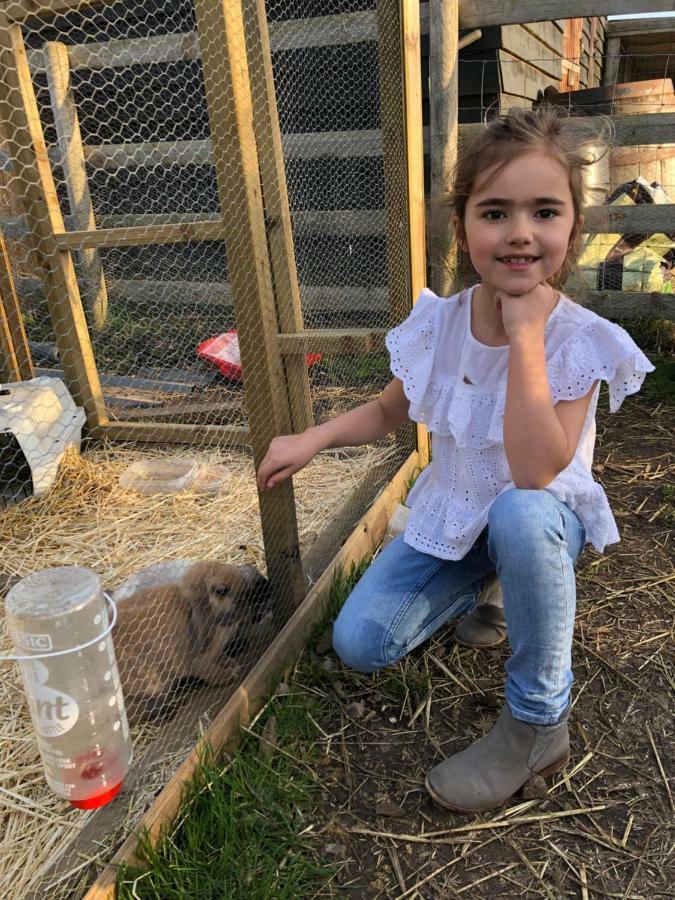 Willow Court Farm Studio East & Petting Farm, 8 Mins To Legoland & Windsor, 15 Mins To Lapland Uk Ngoại thất bức ảnh