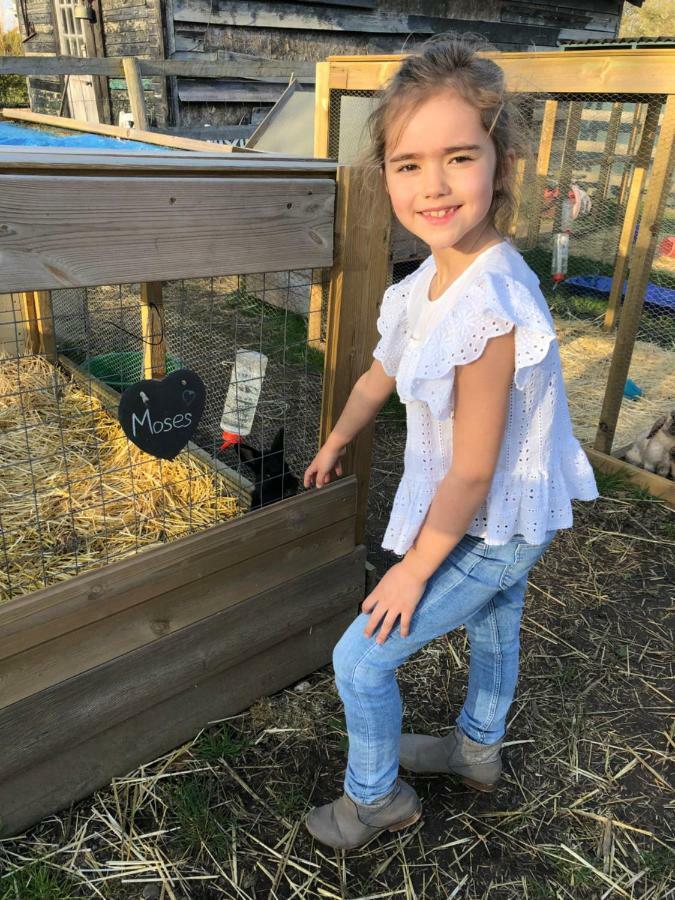 Willow Court Farm Studio East & Petting Farm, 8 Mins To Legoland & Windsor, 15 Mins To Lapland Uk Ngoại thất bức ảnh
