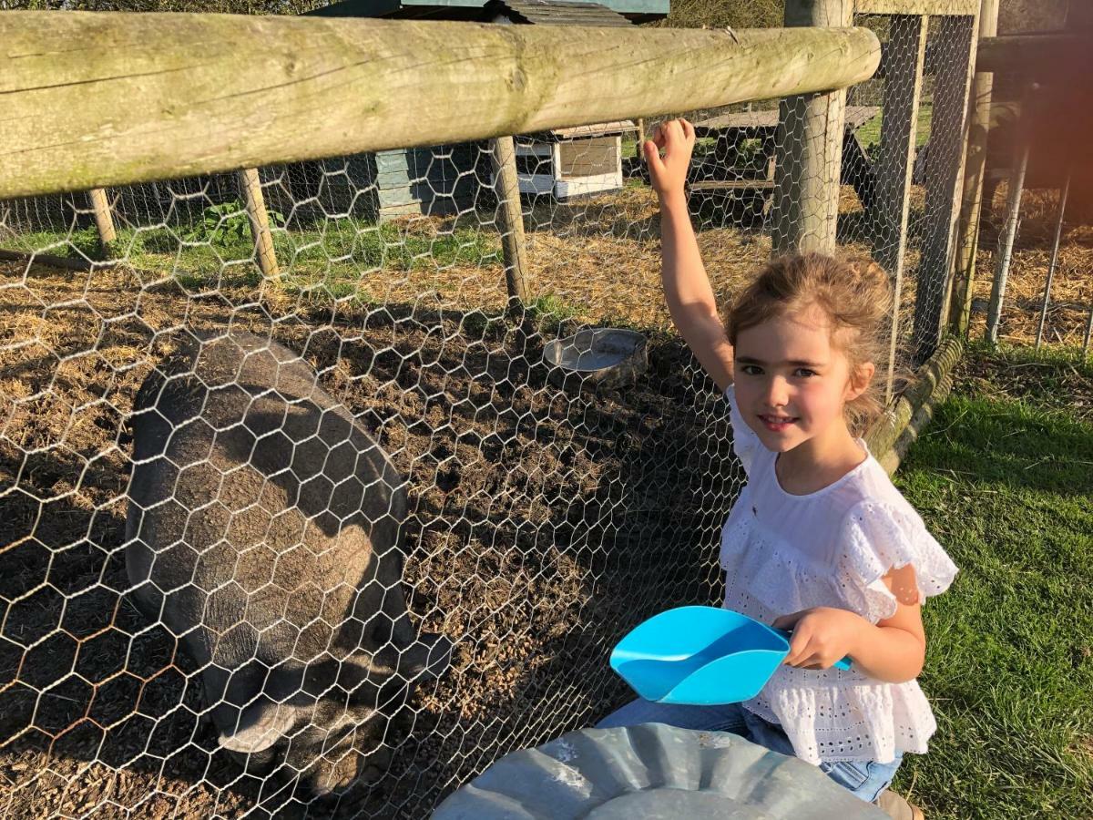 Willow Court Farm Studio East & Petting Farm, 8 Mins To Legoland & Windsor, 15 Mins To Lapland Uk Ngoại thất bức ảnh